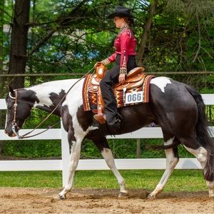 Meet your Posher, Abby